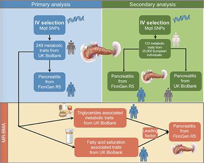 Mendelian randomization in blood metabolites identifies triglycerides and fatty acids saturation level as associated traits linked to pancreatitis risk